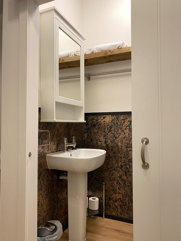 Bathroom basin with mirrored cabinet above and dark stone-effect wall