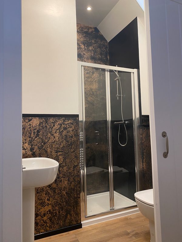 Walk-in shower with glass door, basin and WC in the en-suite bathroom